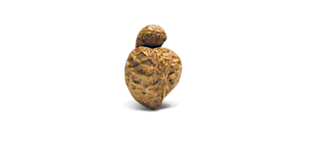Peanut of Willendorf